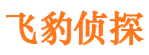 泸定市婚外情取证